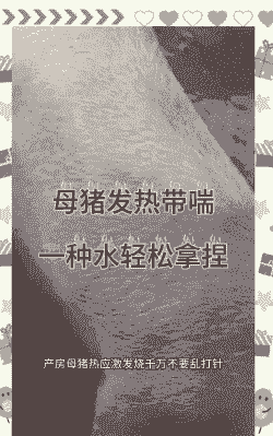 怎样防止母猪产后高烧