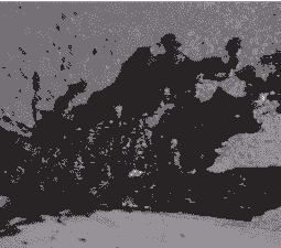 母猪产后大便黑色细软