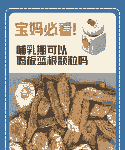 母猪产后能喝板蓝根吗