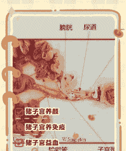 治疗母猪产后炎症的意义