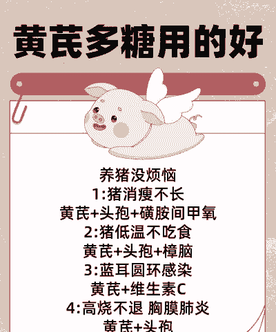 母猪产后黄芪多糖配头孢