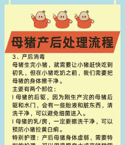 母猪产后子宫怎么保健呢