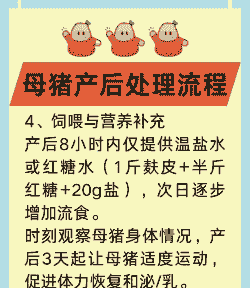 母猪产后要怎样补充营养