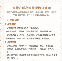 母猪产后怎么不吃食物