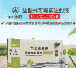 母猪产后几天打药水