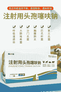 母猪产后发烧用什么药好