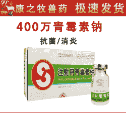 母猪产后青霉素用几只