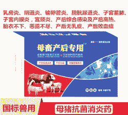 母猪产后康什么时间打