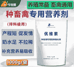 母猪产后吃什么维生素