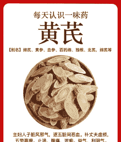 产后母猪用黄芪的作用