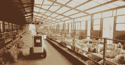 养牛养羊用什么机器