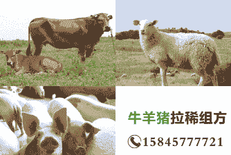 养牛养羊养狗养猪