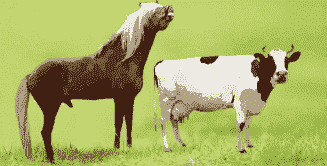 养牛养羊养马养鹿