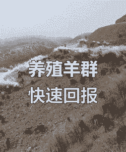 养牛划算养羊划算