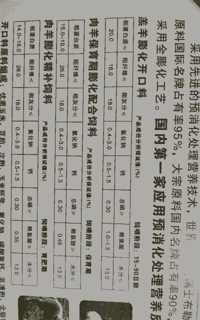 养牛养羊食料搭配