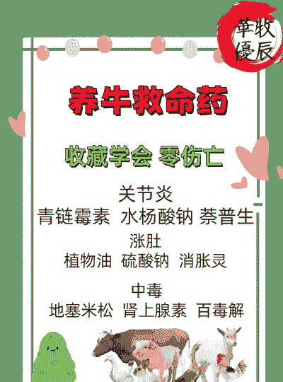 为何养羊不养牛