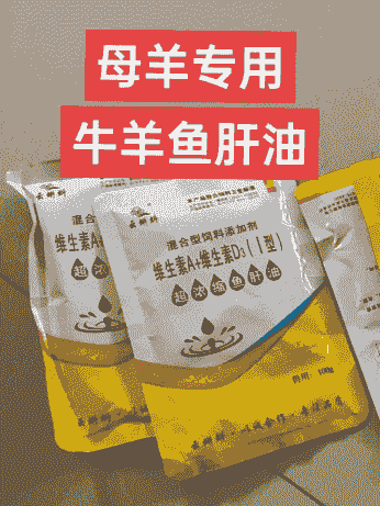 养牛养羊用油好吗