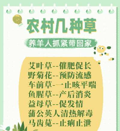 养牛养羊怎么种草