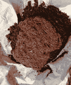 养牛养羊养蚯蚓养什么好