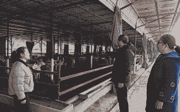 养猪养牛养羊养鸡养兔子