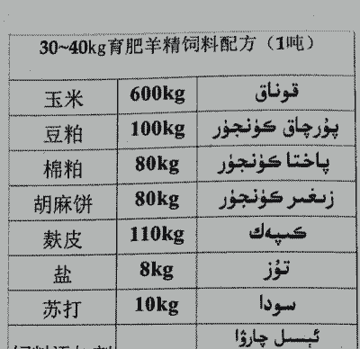 养牛的养羊饲料配方