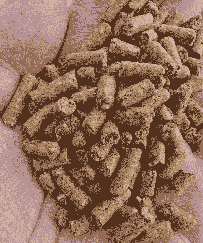 养牛与养羊的草料