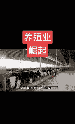 养牛和养羊的利润