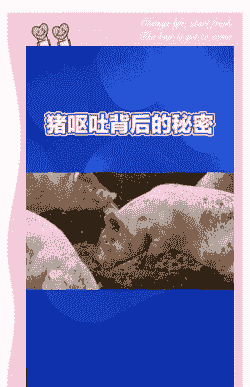 母猪产后吐食怎么办