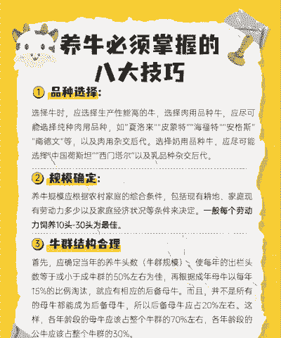 如何养羊养牛视频讲解