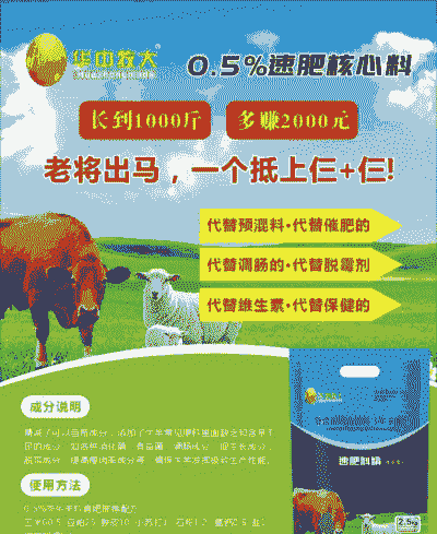 养羊养牛哪个效益快