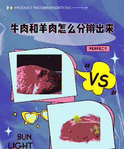 养牛贵还是养羊贵