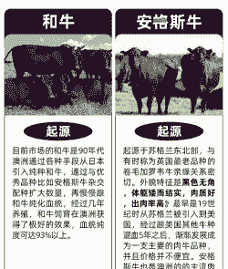 美国是养羊还是养牛