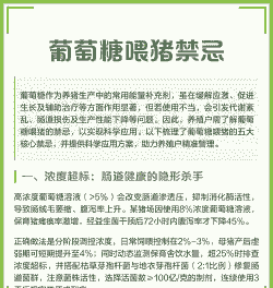 产后母猪葡萄糖用量