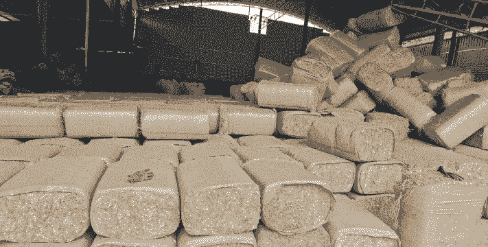 秸秆饲料养牛养羊好吗