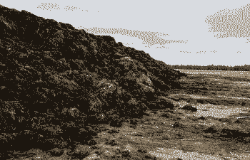 养牛养羊污染环境