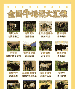 养牛与养羊哪个省市