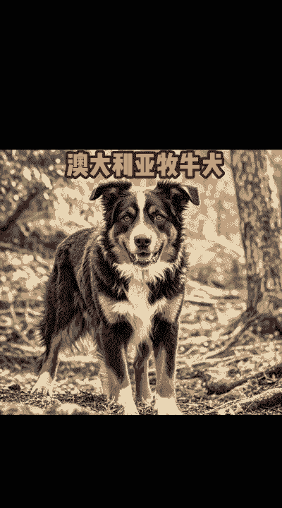 养羊养牛养什么犬合适呢