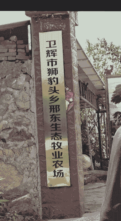 福建养牛养羊场地址电话