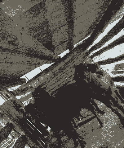 回农村养羊或者养牛好吗