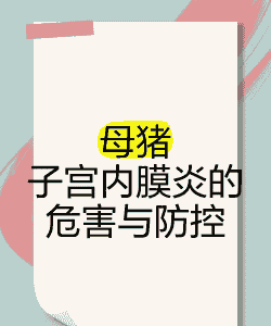 预防产后母猪子宫炎