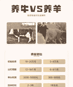 养羊和养牛哪个投资多