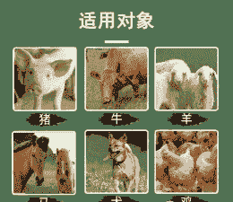 养羊和养牛养猪的区别