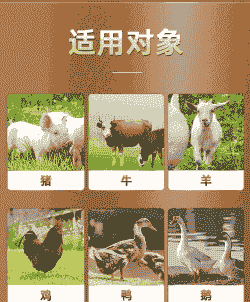 养鸡养鸭养牛养羊哪个好