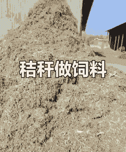 养牛养羊的秸秆利用方法