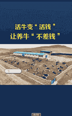 小资金是养牛还是养羊