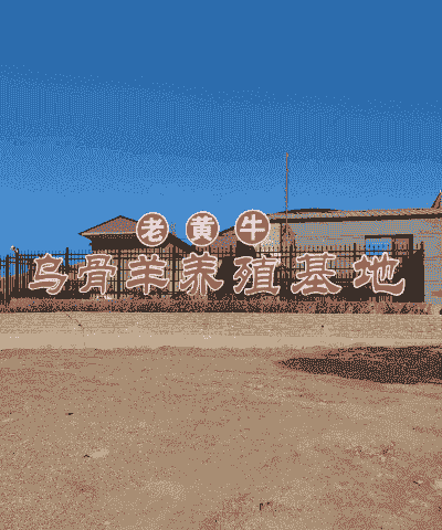 农村养牛养羊种地违法吗