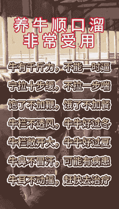 养牛养羊的顺口溜