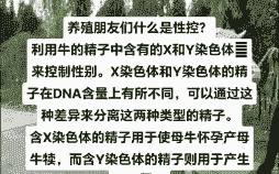 日本为什么养牛不养羊