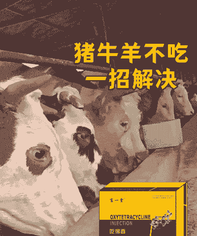 养牛养羊养猪那个风险小