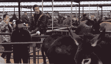 养牛大爷养羊大爷是谁呀